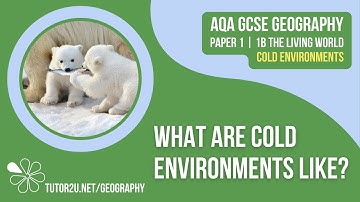 What are Cold Environments Like? | AQA GCSE Geography | Cold Environments 1