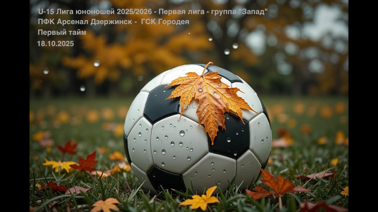 Тайм 1 Арсенал Дзержинск - ГСК Городея