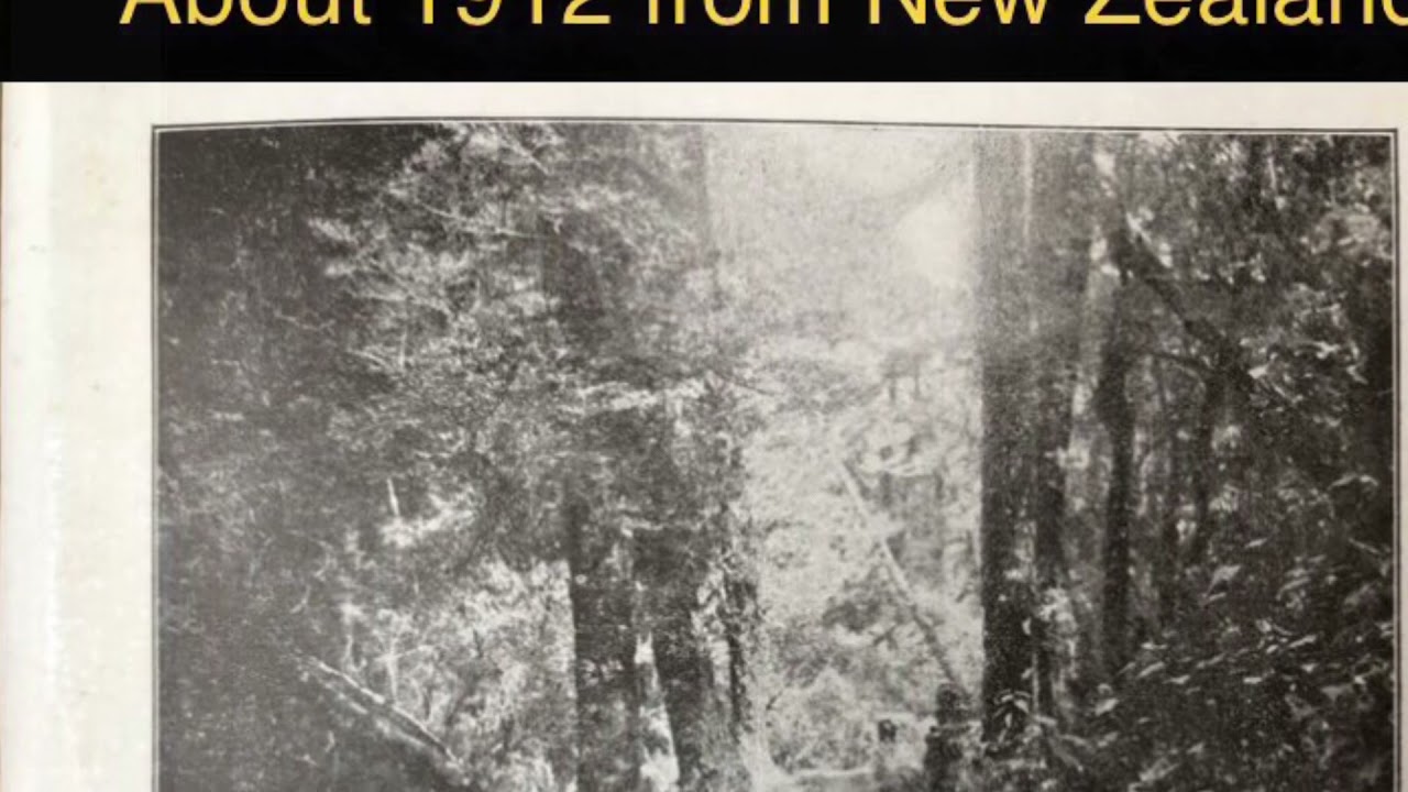 About 1912 Moehau New Zealand