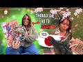 SEQA Japan 2026 Introduction Video CotesJeila 