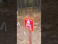 25 октября 2025 г.