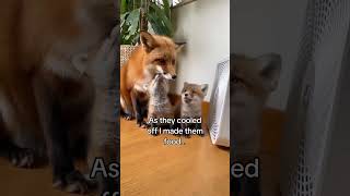 My life is not the same 😭❤️ #wholesome #animals