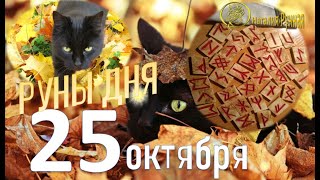 видео: РУНА ДНЯ / Рекомендации от Наталии Рунной на 25 октября 2025г картинка: РУНА ДНЯ / Рекомендации от Наталии Рунной на 25 октября 2025г