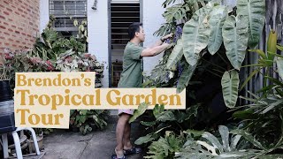 Brendon's Tropical Garden Tour @brendonsplants | Philodendron, Monstera, Alocasia, Caladium & more screenshot 2