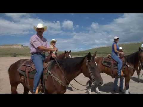 Introduction to Western Horse Riding - YouTube
