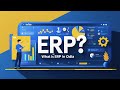 ERP କ’ଣ? | What is ERP in Odia | ERP Meaning &amp; Uses | EdTech Odisha