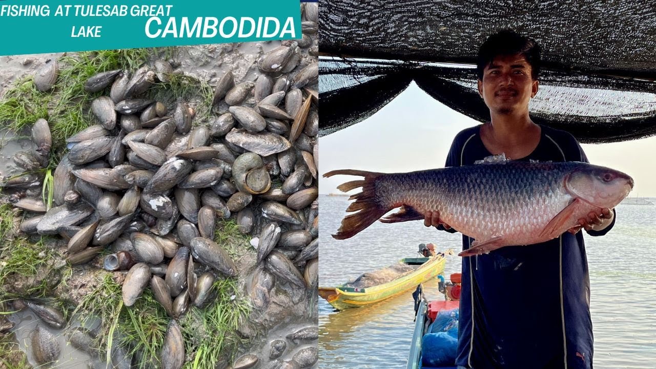 Fishing lifestyle at Countryside/Fishing Villager - YouTube