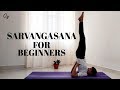 How to Sarvangasana with Preparatory poses for beginners ll Archie's Yoga