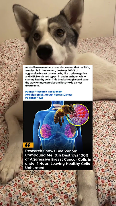 Bee venom 🐝