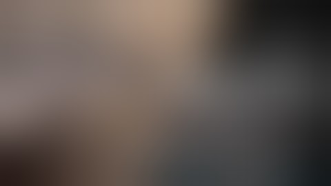 SRS A1 Sniper Rifle Compact Portable less than 33" inches