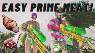 How to get Prime Meat easy! Ark Survival Evolved