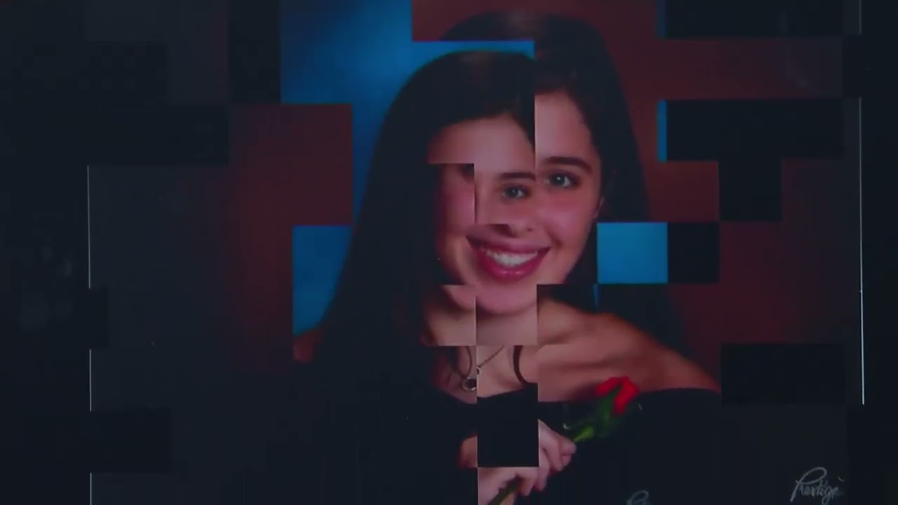 Monster Vision X 15.6" Portable Outdoor LCD TV with Tuner on QVC