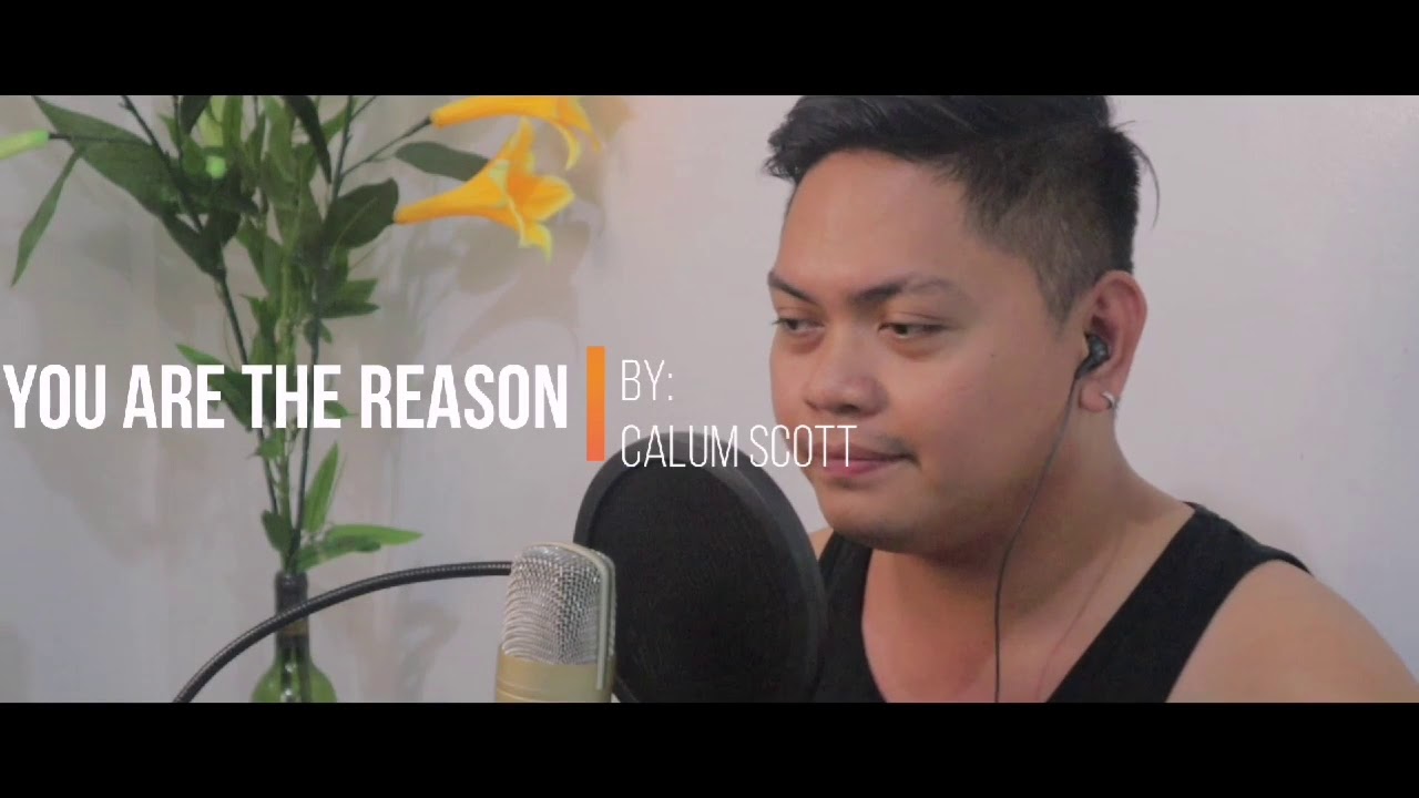 You Are The Reason by: Calum Scott Cover