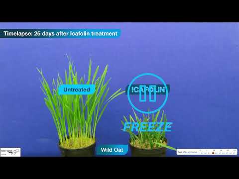 Designing the Acre- Crop Protection