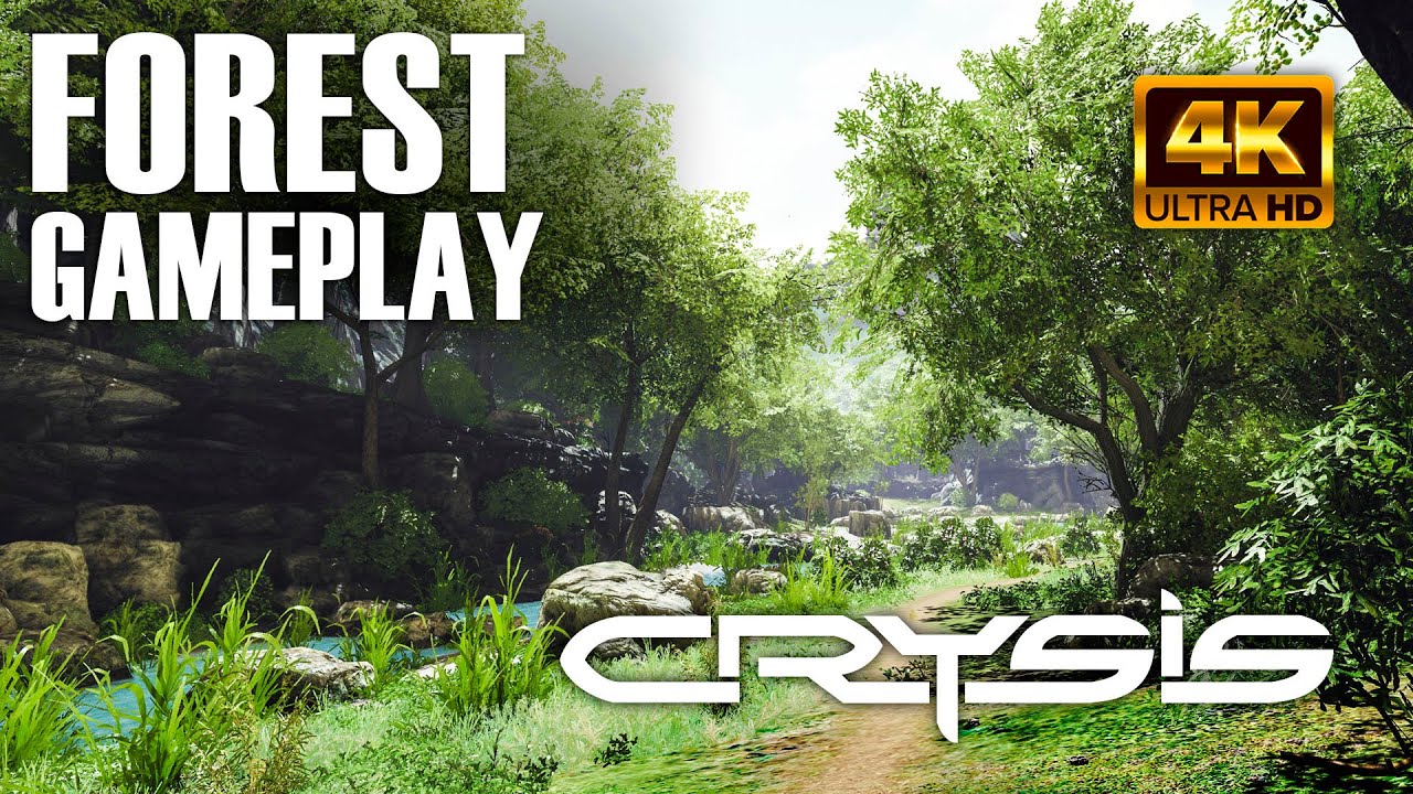 PURE GAMEPLAY IN FOREST \ CRYSIS / 4K - YouTube