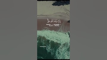تلاوة خاشعة تقشعر لها الأبدان #قرآن #لاتنسوني_من_صالح_دعاكم #ياسر_الدوسري