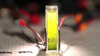 Batch ultrasonic harvester concentrating algae