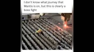 Praying Mantis VS Machine Meme