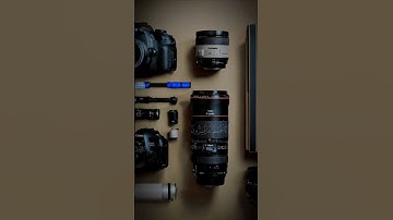 #القرآن_الكريم #تلاوة_خاشعة #quran #القران_الكريم #تجويد #ترند #اللهم_صل_وسلم_على_نبينا_محمد