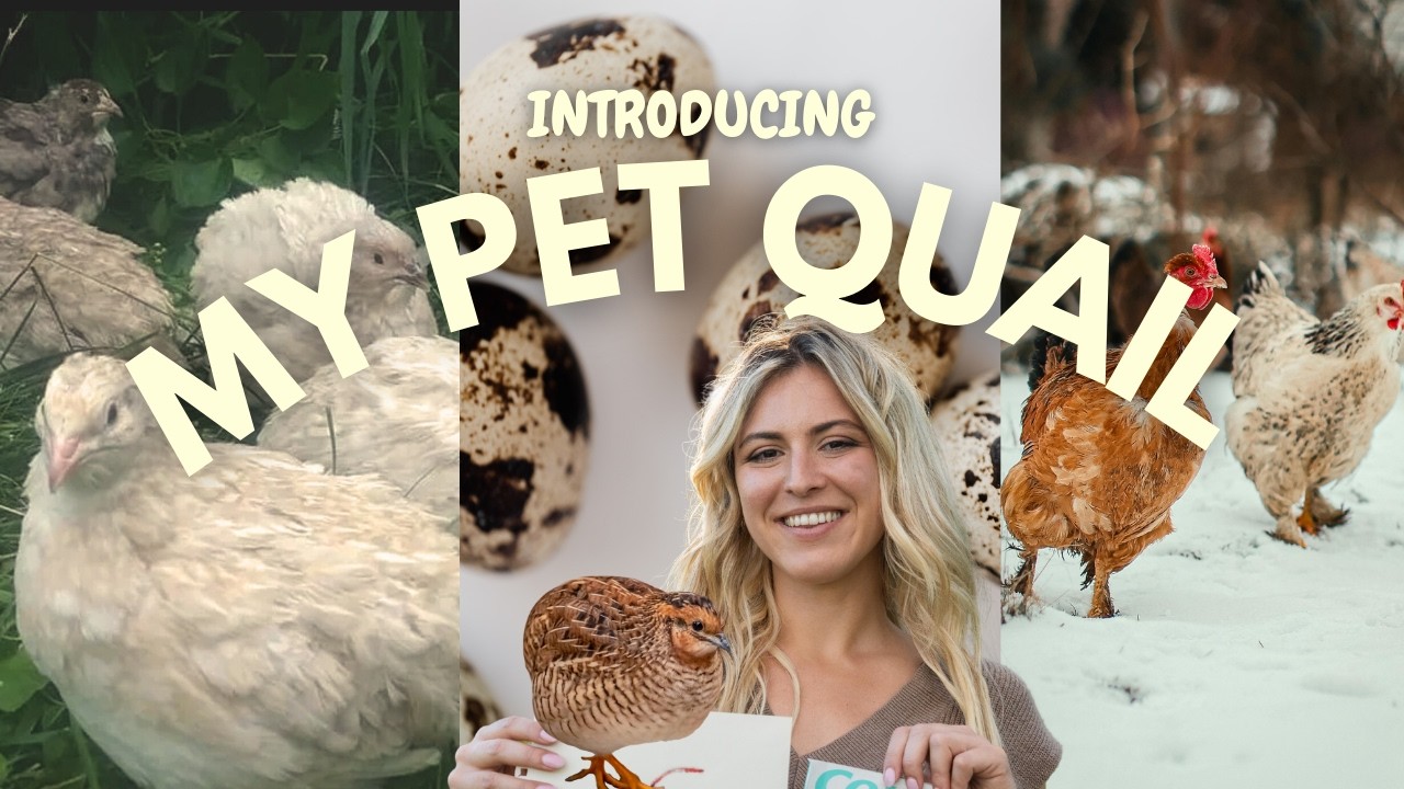 My pet WHAT? Raising a tiny dinosaur