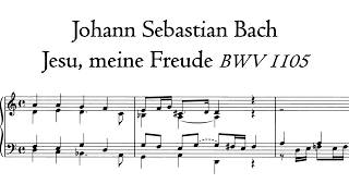 Bach - Jesu, meine Freude, BWV 1105 - Engler organ, Krzeszów, Hauptwerk