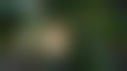 Pew Pew Chửi bậy hồi mới chơi LOL. Huyền thoại