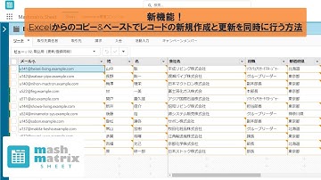 【便利機能】Mashmatrix Sheet / Salesforceのレコードの新規作成と更新を同時に行う方法