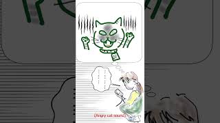 猫と電気コード　Cat & electrical cable