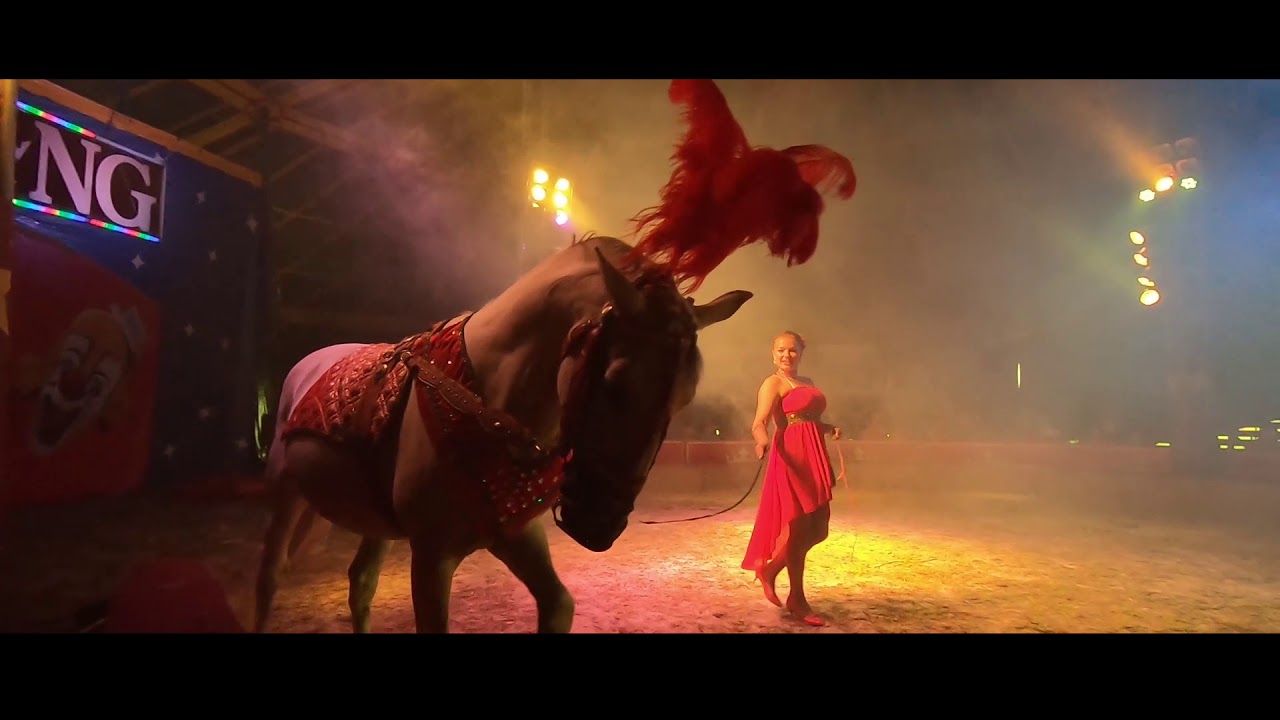Cirkus KING Skuteč 2019