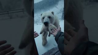 #MotherInstinct #BearMom#AnimalSacrifice #AvalancheRescue#WildlifeDrama #AnimalEmotion #viralreels