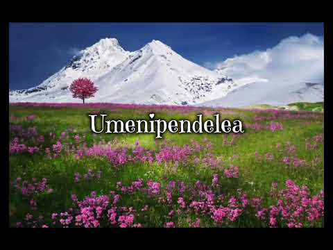 Umenipendelea lyrics -Henrick Mruma