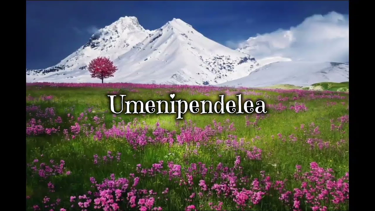 Umenipendelea lyrics -Henrick Mruma