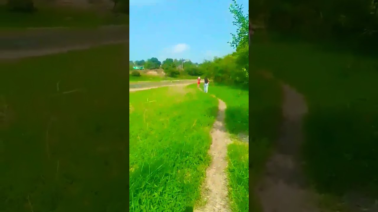 Seca histórica 2024 , Manaus - purupuru