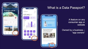 What is a Data Passport?