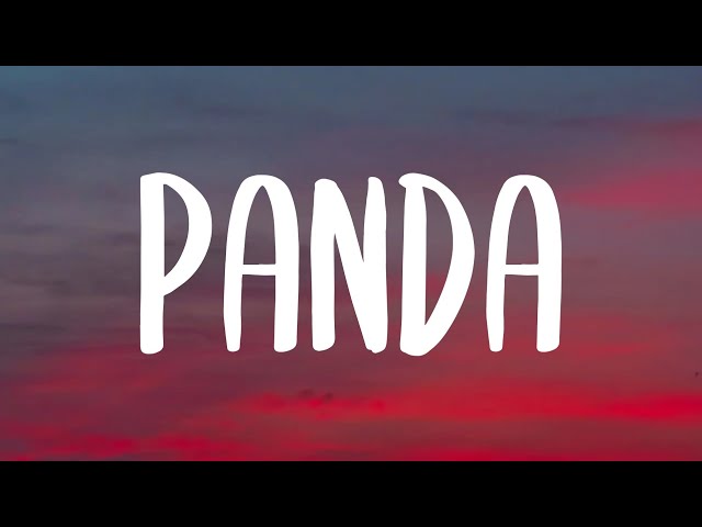Desiigner - Panda (Lyrics) "I got broads in Atlanta" [Tiktok Song]