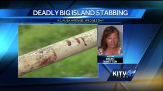 Hilo stabbing victim identified