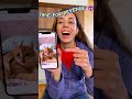 My Cat Got Revenge on Me 😂📸 #cats #humor #comedy