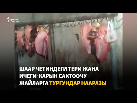 Video: Шаар четиндеги конуштардын өсүшүнө эмне себеп болду?