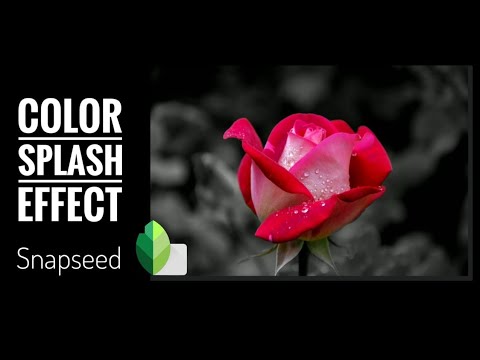 Color Splash Effect | Selective Coloring Using Snapseed Mobile