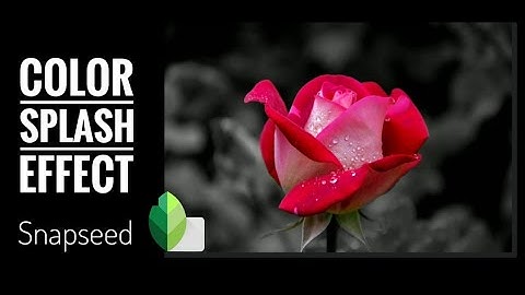 Color splash effect | Selective coloring  using Snapseed mobile