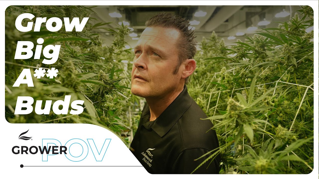 The Science Behind our Latest Top Selling Nutrient