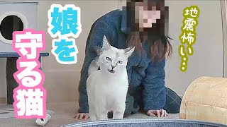 [The moment an earthquake occurs] A protective cat protects a daughter who cannot move due to fear