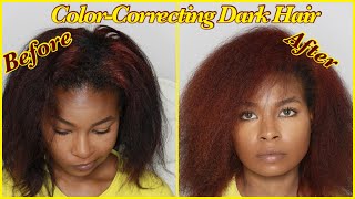 Color-Correcting My Ends To Match My Roots | Sekoya Hicks