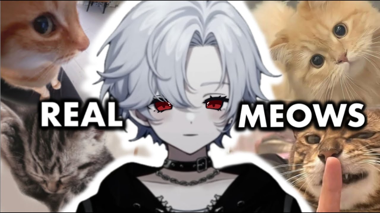 The Most Realistic Meow ASMR