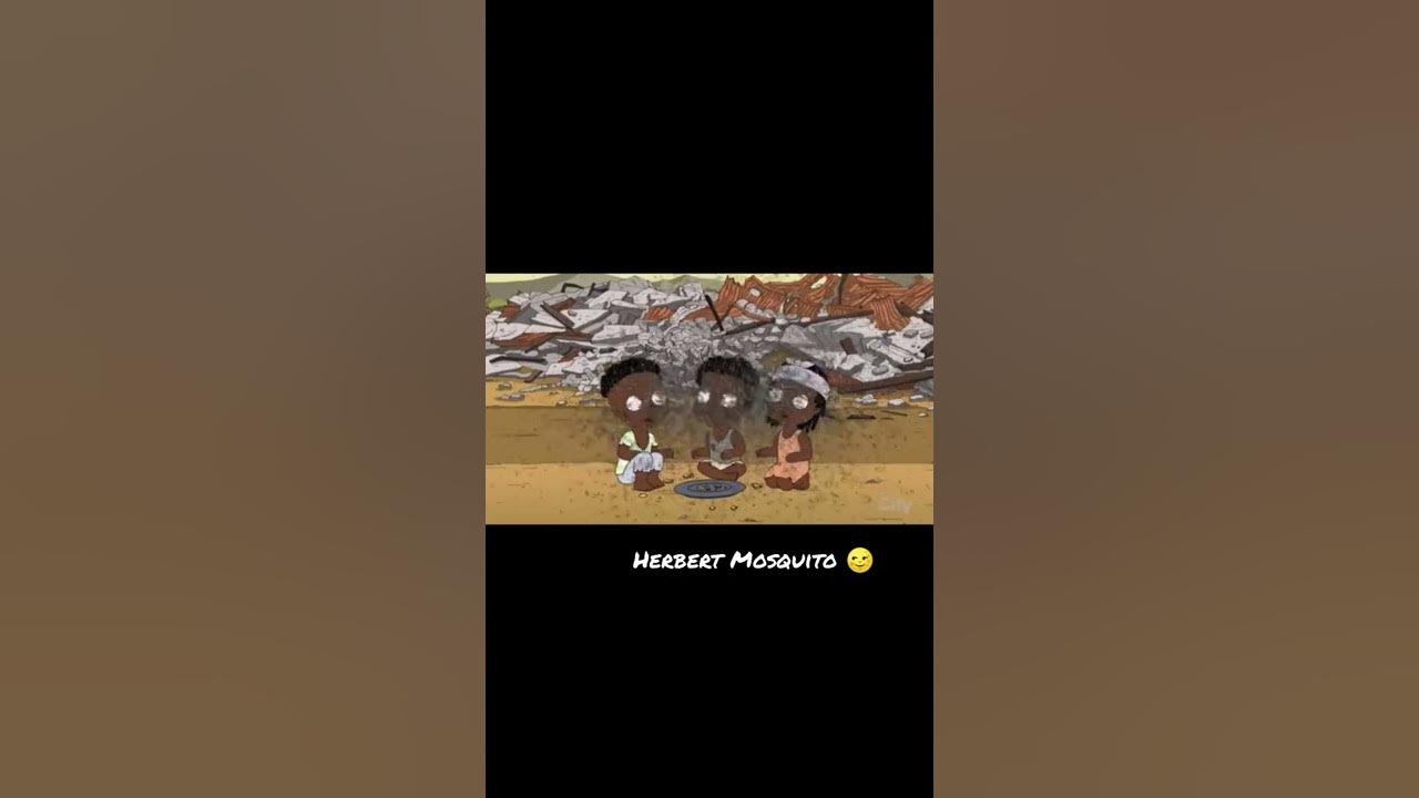 Herbert mosquito 🌝
