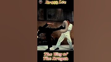 Bruce Lee – The Divine Dragon Who Turned Rage into Justice