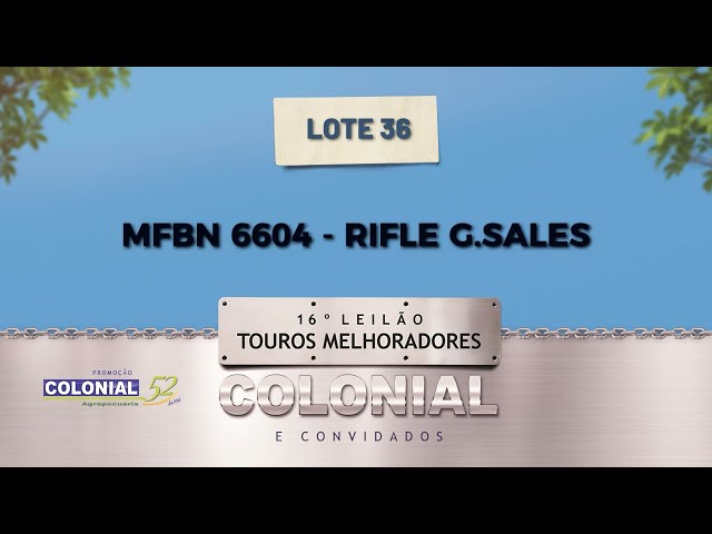 LOTE 36 MFBN 6604