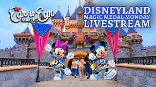    Disneyland Park  Stream 02022026