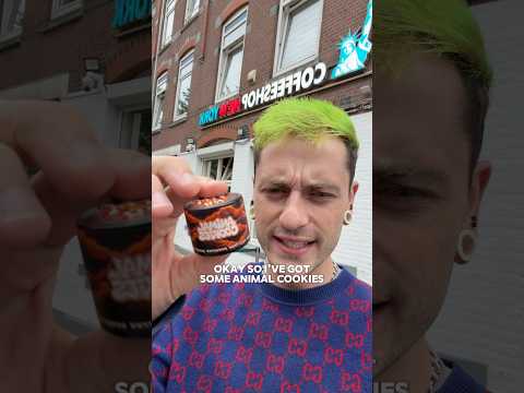 Searching for extract in Rotterdam! - Cannabis strain review video