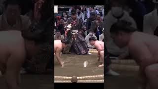 Ichiyamomoto VS Tokihayate Haru Basho 2026 Sumo #sport #japan #япония #wwe #mma #сумо #sumo #борьба